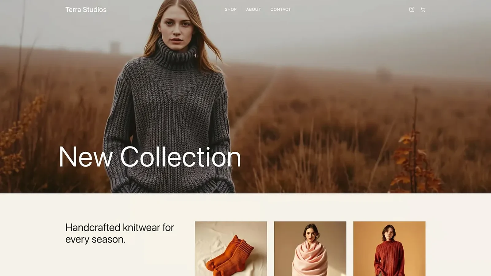 Ecommerce: example website built with Lovable